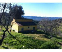 FINCA RUSTICA EN LA ZONA DE ESPIEL ( CORDOBA )