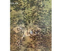 Venta de Finca Agricola y Ganadera