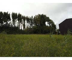 TERRENO EDIFICABLE EN ESCARABOTE