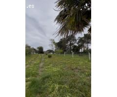 SE VENDE FINCA CON PROYECTO DE VIVIENDA UNIFAMILIAR Y VISTAS AL MAR EN INSUELA (PALMEIRA)
