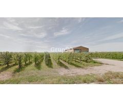 Finca de regadío con almacenes en venta en Alcoletge.