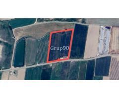¡Oportunidad única! Finca de regadío en venta en Alcoletge, Lleida