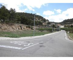! Oportunidad única en Vallbona de les Monges !