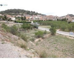 ! Oportunidad única en Vallbona de les Monges !
