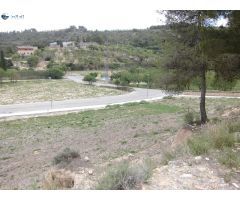 ! Oportunidad única en Vallbona de les Monges !