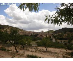 ! Oportunidad única en Vallbona de les Monges !