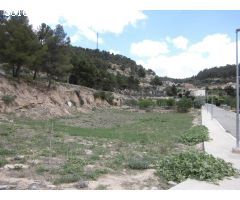 ! Oportunidad única en Vallbona de les Monges !