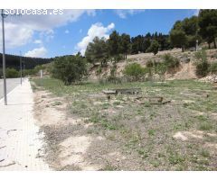 ! Oportunidad única en Vallbona de les Monges !