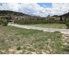 ! Oportunidad única en Vallbona de les Monges !
