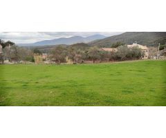 CAMPINS (PUEBLO): TERRENO URBANO NO CONSOLIDADO APTO PARA 3 UNIFAMILIARES AISLADAS