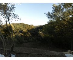 SANT CELONI (PARC NATURAL DEL MONTNEGRE): GRAN MASIA CATALOGADA EN VENTA