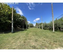 Local comercial en Alquiler en Ricla, Zaragoza