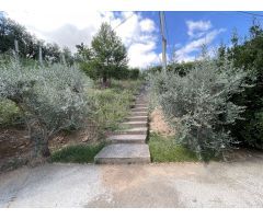 Local comercial en Alquiler en Ricla, Zaragoza
