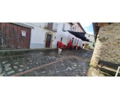 Finca rustica en Venta en Canal de Berdun, Huesca
