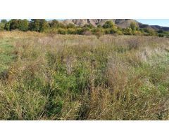 Parcela en Venta en Zaragoza, Zaragoza