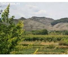 Parcela en Venta en Zaragoza, Zaragoza
