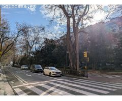 Local comercial en Alquiler en Zaragoza, Zaragoza