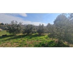Chalet en Venta en Zaragoza, Zaragoza