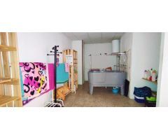 Local comercial en Alquiler en Zaragoza, Zaragoza