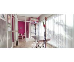 Local comercial en Alquiler en Zaragoza, Zaragoza