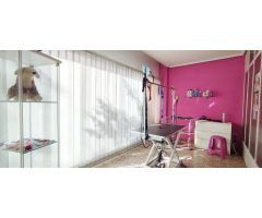 Local comercial en Alquiler en Zaragoza, Zaragoza