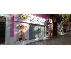 Local comercial en Alquiler en Zaragoza, Zaragoza