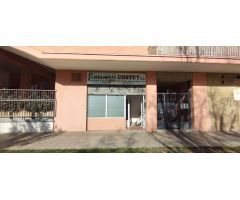 Local comercial en Alquiler en Zaragoza, Zaragoza