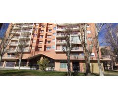 Local comercial en Alquiler en Zaragoza, Zaragoza
