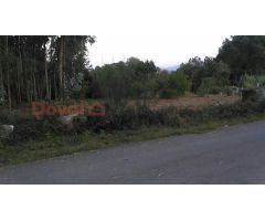 PARCELAS MUY BUENA ZONA.