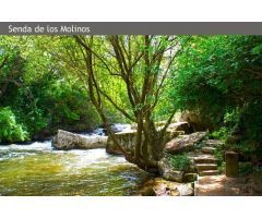 GRUPO DE LOCALES COMERCIALES EN VENTA
