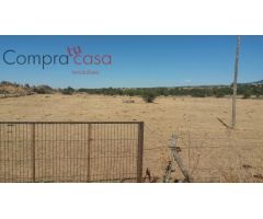 FINCA RUSTICA A LA VENTA EN LA ZONA ZONA BASARDILLA.