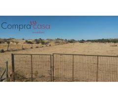 FINCA RUSTICA A LA VENTA EN LA ZONA ZONA BASARDILLA.