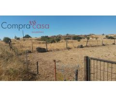 FINCA RUSTICA A LA VENTA EN LA ZONA ZONA BASARDILLA.