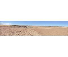 Terreno rural en Venta en Paracuellos de Jarama, Madrid