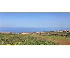 Finca rustica en Venta en Tacoronte, Santa Cruz de Tenerife