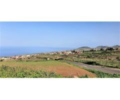 Finca rustica en Venta en Tacoronte, Santa Cruz de Tenerife