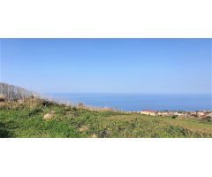 Finca rustica en Venta en Tacoronte, Santa Cruz de Tenerife