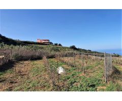 Finca rustica en Venta en Tacoronte, Santa Cruz de Tenerife