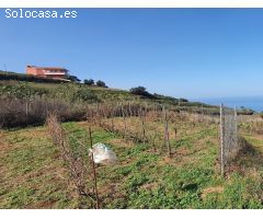 Finca rustica en Venta en Tacoronte, Santa Cruz de Tenerife