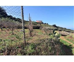 Finca rustica en Venta en Tacoronte, Santa Cruz de Tenerife