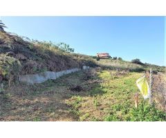 Finca rustica en Venta en Tacoronte, Santa Cruz de Tenerife