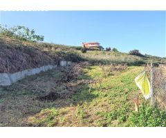 Finca rustica en Venta en Tacoronte, Santa Cruz de Tenerife