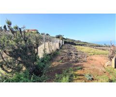 Finca rustica en Venta en Tacoronte, Santa Cruz de Tenerife