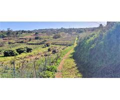 Finca rustica en Venta en Tacoronte, Santa Cruz de Tenerife