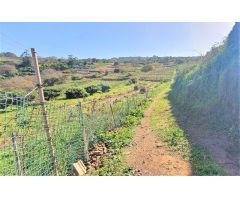 Finca rustica en Venta en Tacoronte, Santa Cruz de Tenerife