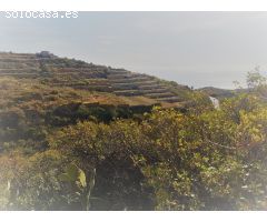 Finca rustica en Venta en Guimarán, Santa Cruz de Tenerife