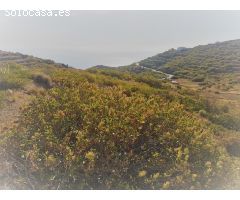 Finca rustica en Venta en Guimarán, Santa Cruz de Tenerife