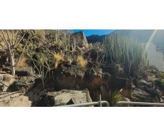 Parcela en Venta en Santa Cruz de Tenerife, Santa Cruz de Tenerife