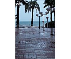 Local Comercial en esquina, Zona Centro, Playa de Levante