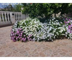 Chalet en Venta en la Nucia, Alicante